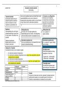 Schematische weergave van theorie voor toetsende statistiek (open universiteit OU)