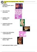 Nbme pathology latest update path 2 auc