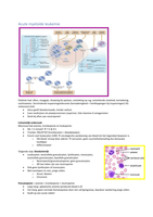 Samenvatting Hematologie Colleges