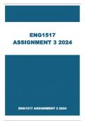 ENG1517 ASSIGNMENT 3 2024