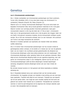 Les 2 - Chromosomale aandoeningen