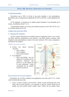 T12 Sistema Nervioso Autónomo