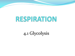 Glycolysis