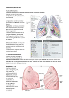 Samenvatting Vraagstukken Borst en Nier deel 1/2