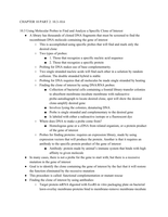 General Genetics CH10 Gene Isolation and Manipulation Pt 2