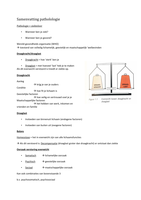 Begin pathologie