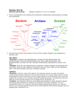 Bacteria and Archaea           