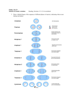 Meiosis & Genetic variation          