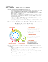 Mitosis & Cell division          