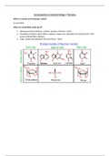 Basics of Molecular Biology