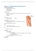 Subcapitale humerusfractuur