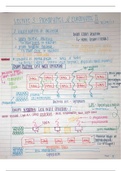 Lecture 3: Prokaryotes & Eukaryotes II