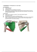 Anatomie in VIVO Blok 1.4 Volledige Samenvatting