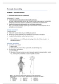 Neurologie studietekst Neuroanatomie hoofdstuk 1- Algemene begrippen samenvatting