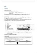 Methodisch fysiotherapeutisch handelen 1.3