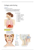 ALLE ANATOMIE & FYSOLOGIE / GENEESKUNDE LEERPAKKET 1