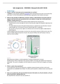 Safe Assignments BMW3001 - Diseased Cells (2017/2018)