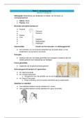 Samenvatting MB-FT-GC-Arbeid