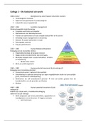 1JK20 - SISE - Samenvatting slides   artikelen 