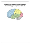 Ontwikkelingspsychologie deel 2 Hoofdstuk 8 tot 12 