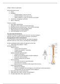 Samenvatting botten en weefsels