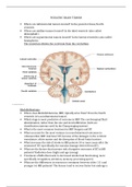 Pediatric Neuropsychology questions