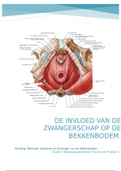 DE INVLOED VAN DE ZWANGERSCHAP OP DE BEKKENBODEM 