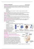 H26 & H27, virussen en prokaryoten