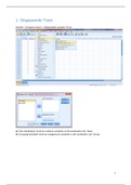 SPSS voorbereiding practicum 2