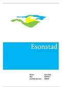 Esonstad Dagdeel 1 T/M 9 (Cijfer 9,5)