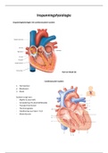 Samenvatting inspanningsfysiologie, tentamenvragen en artikelen alle tentamenstof