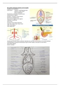 HAP-20306 DEELTENTAMEN A: Bondige Samenvatting Practica (Reader   powerpoints   quizes) 