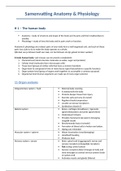 Samenvatting Anatomie/Fysiologie 1 (H1 t/m H3, H6 en H7)