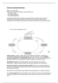 Summary Investment Decisions Y2Q1