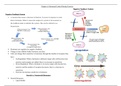 Hormonal Control During Exercise Notes