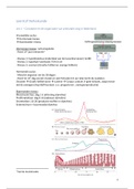 Leerstof MK - Verloskunde