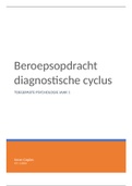 beroepsopdracht diagnostische cyclus