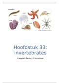 hoofdstuk 33