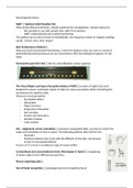 neuropsychological tests 