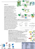 Moleculaire celbiologie college 8