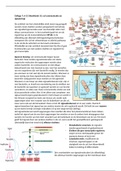 Moleculaire celbiologie college 7