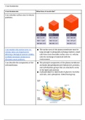  I Can Statements Chapter 4 and 5