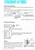 Biology - Coordination in Plants 2