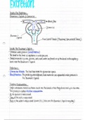 Biology - Excretion 2