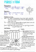 Biology - Plants & Food  1