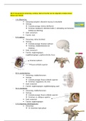 volledige samenvatting anatomie 2017-2018