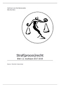 Samenvatting straf(proces)recht begrepen