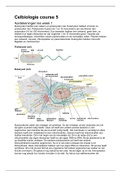 Samenvatting celbiologie course 5 leerjaar 2