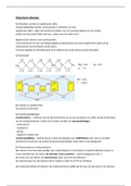 Chemisch rekenen en organische chemie scheikunde