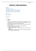 12. Tráquea y árbol bronquial.docx